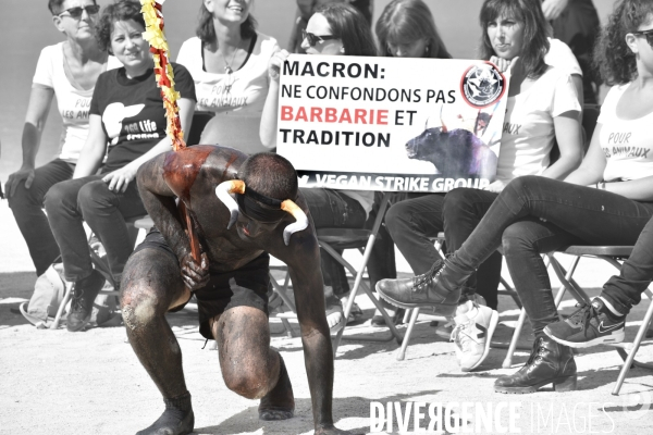 Action Cause Animale contre la corrida.