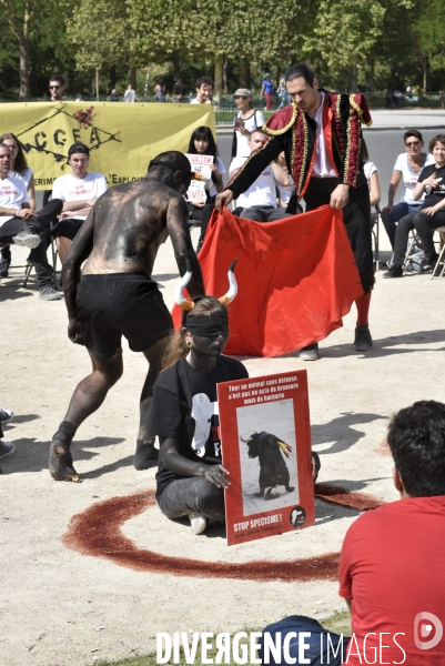 Action Cause Animale contre la corrida.