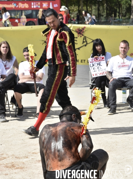 Action Cause Animale contre la corrida.