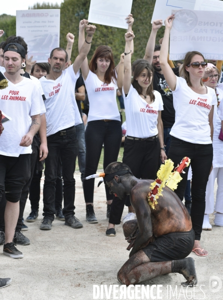 Action Cause Animale contre la corrida.