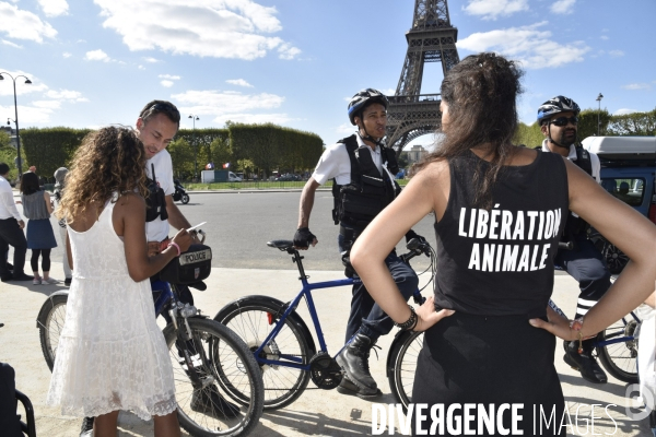 Action Cause Animale contre la corrida.