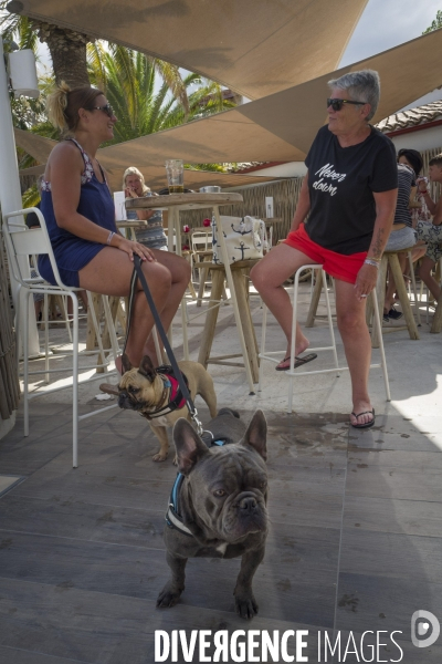 Camping-S d Argelès Sur Mer