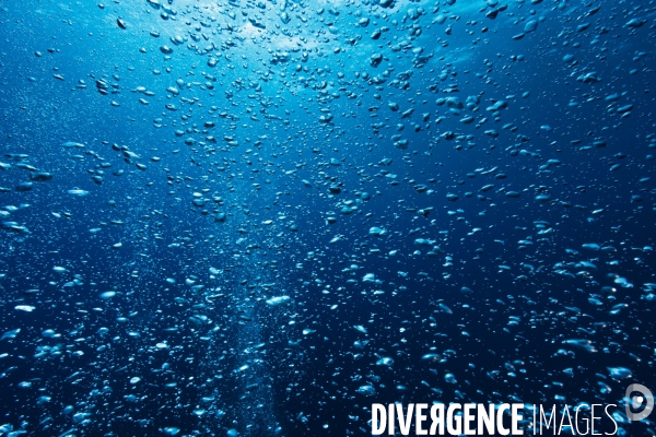 Bulles de plongeur sous-marin