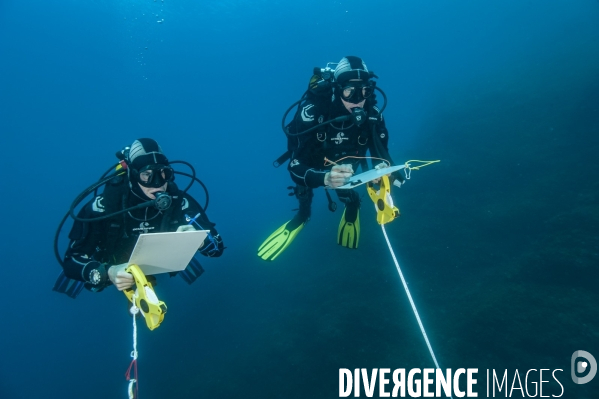 Transects operes par deux plongeurs scientifiques