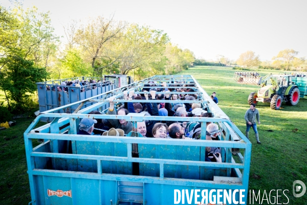 Transhumance ligérienne