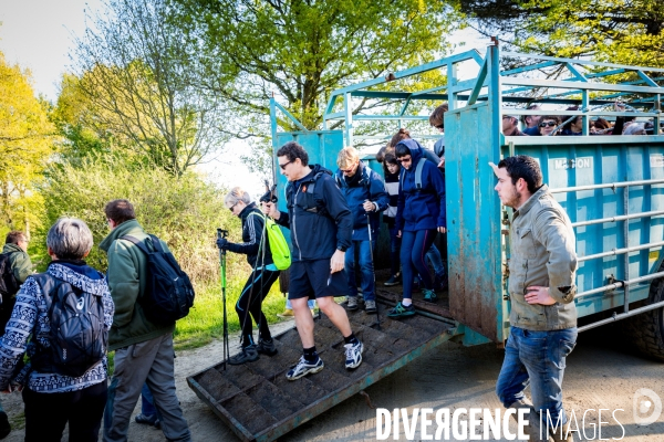 Transhumance ligérienne