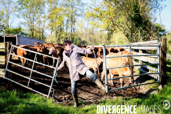 Transhumance ligérienne