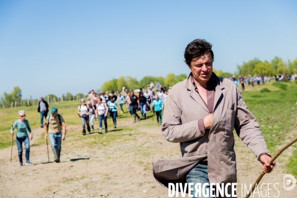 Transhumance ligérienne