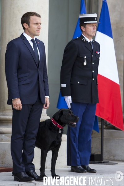 Le Président de la République Emmanuel MACRON et son nouveau chien NEMO, sur le perron de l Elysée