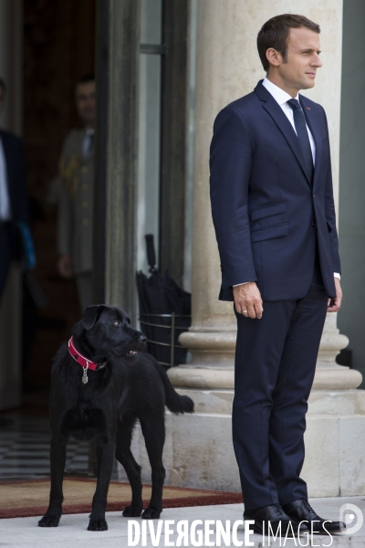 Le Président de la République Emmanuel MACRON et son nouveau chien NEMO, sur le perron de l Elysée