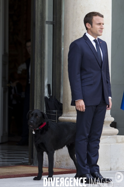 Le Président de la République Emmanuel MACRON et son nouveau chien NEMO, sur le perron de l Elysée
