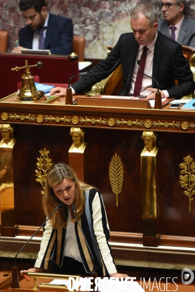 Confiance dans la vie publique. Débat à l Assemblée nationale.