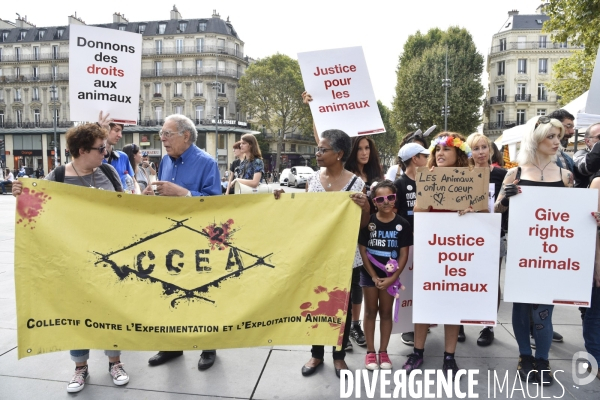 Journée Mondiale pour la Fin du Spécisme à Paris. World Day for the End of Specism.