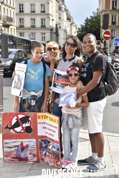 Japan Dolphins Day 2017 à Paris.