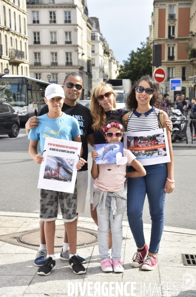 Japan Dolphins Day 2017 à Paris.