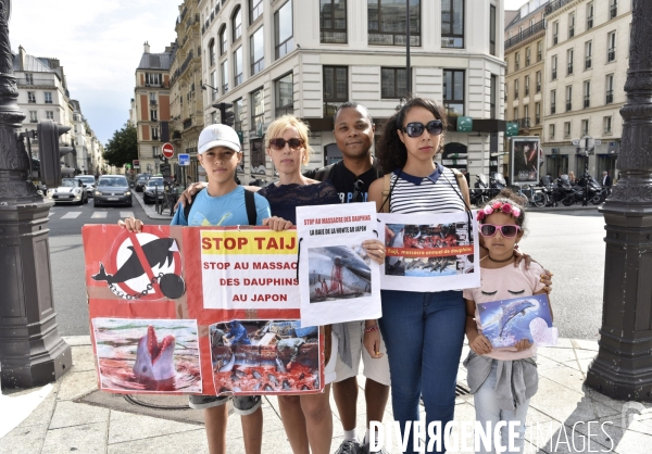 Japan Dolphins Day 2017 à Paris.