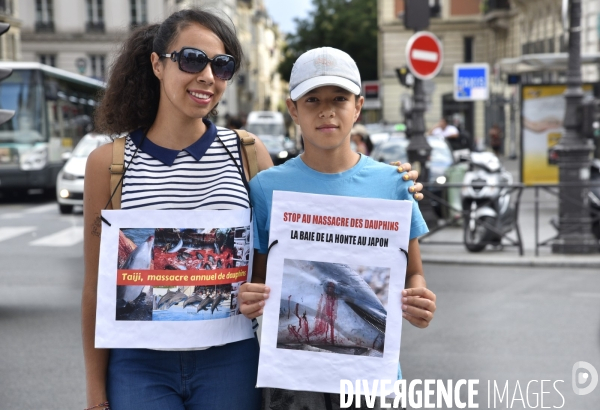 Japan Dolphins Day 2017 à Paris.