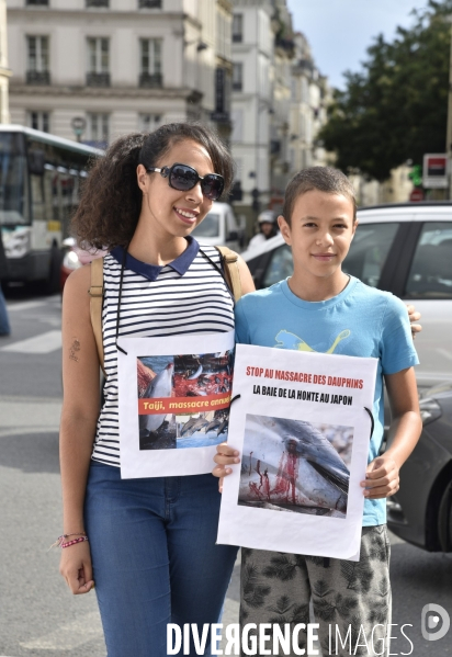 Japan Dolphins Day 2017 à Paris.