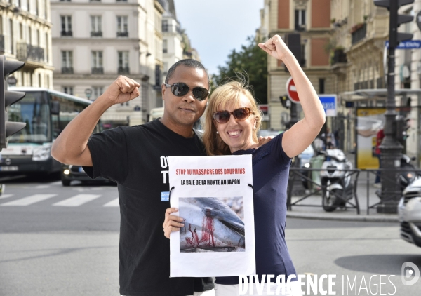 Japan Dolphins Day 2017 à Paris.