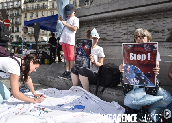 Japan Dolphins Day 2017 à Paris.