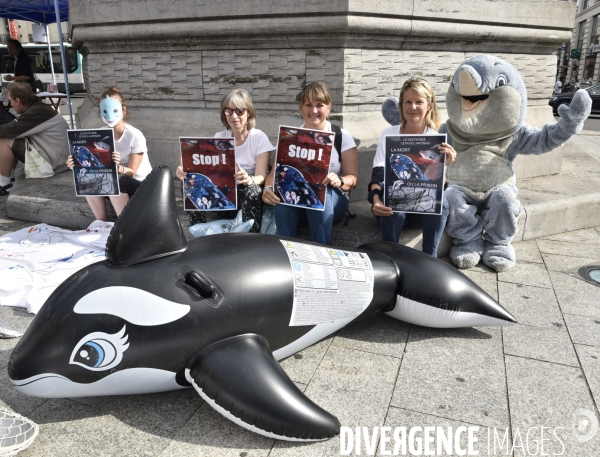 Japan Dolphins Day 2017 à Paris.