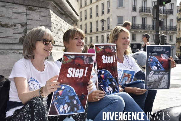 Japan Dolphins Day 2017 à Paris.