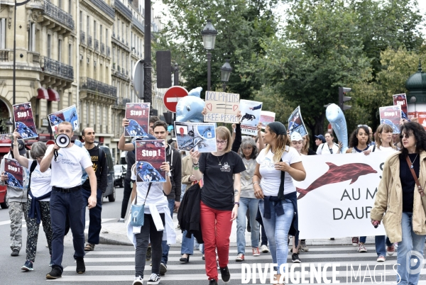 Japan Dolphins Day 2017 à Paris.