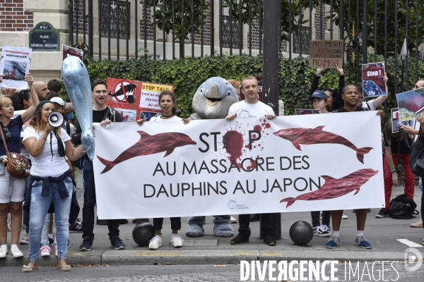 Japan Dolphins Day 2017 à Paris.