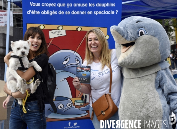 Japan Dolphins Day 2017 à Paris.
