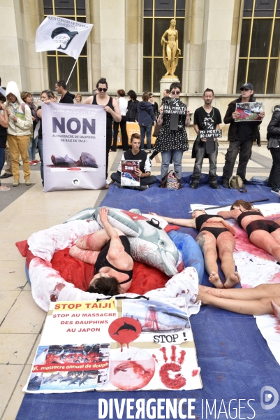 Japan Dolphins Day 2017 Paris. L214 & C est Assez