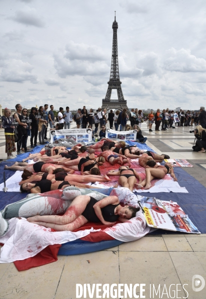 Japan Dolphins Day 2017 Paris. L214 & C est Assez