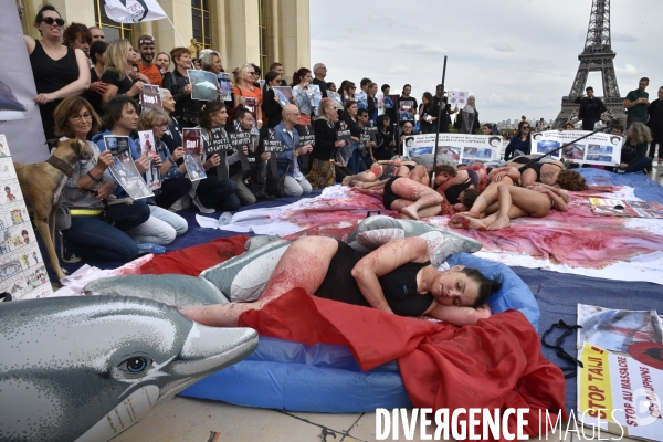 Japan Dolphins Day 2017 Paris. L214 & C est Assez