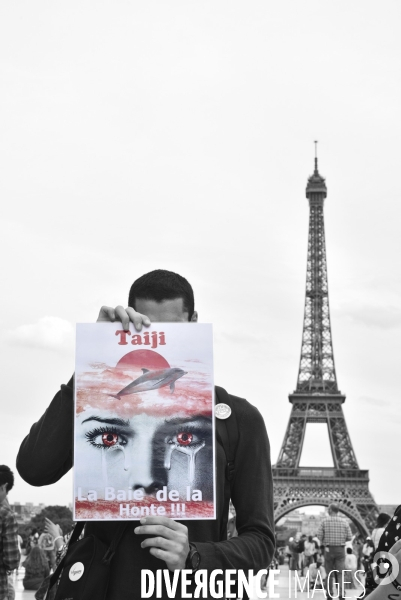 Japan Dolphins Day 2017 Paris. L214 & C est Assez