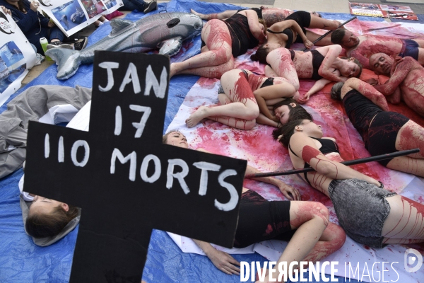 Japan Dolphins Day 2017 Paris. L214 & C est Assez