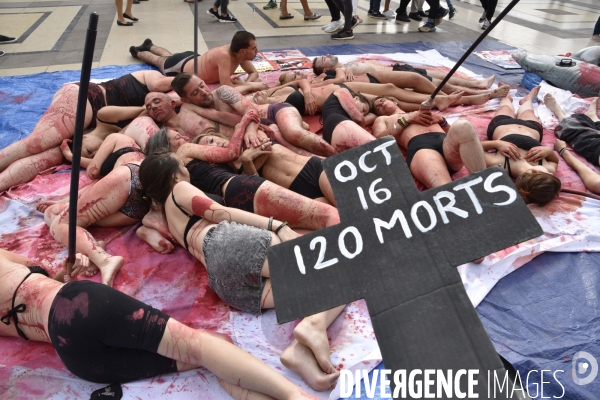 Japan Dolphins Day 2017 Paris. L214 & C est Assez