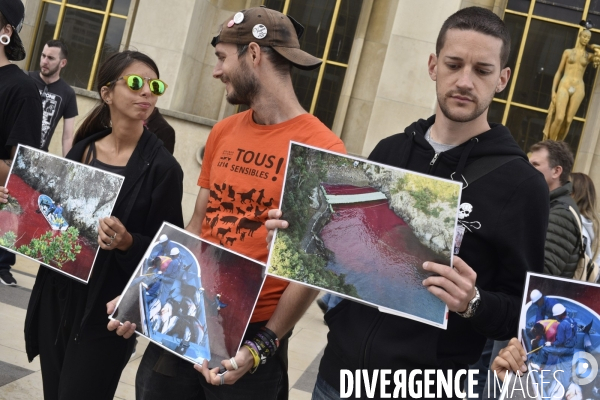 Japan Dolphins Day 2017 Paris. L214 & C est Assez