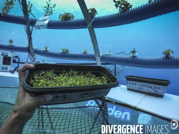 Nemo Garden, l agriculture du futur