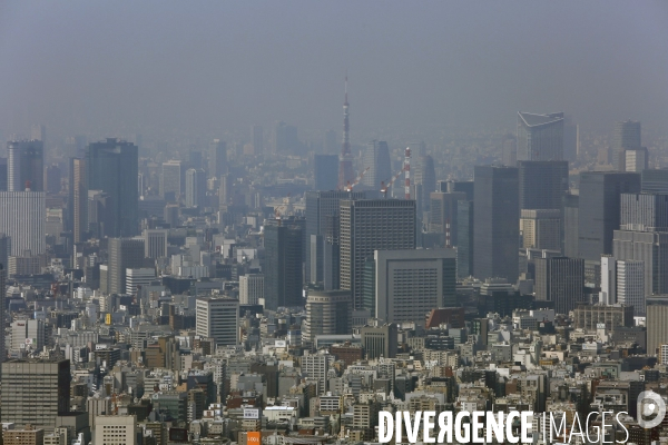 Vue Generale de TOKYO depuis la tour SKYTREE