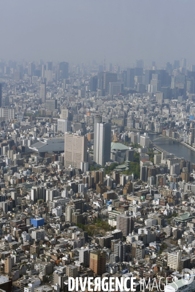 Vue Generale de TOKYO depuis la tour SKYTREE