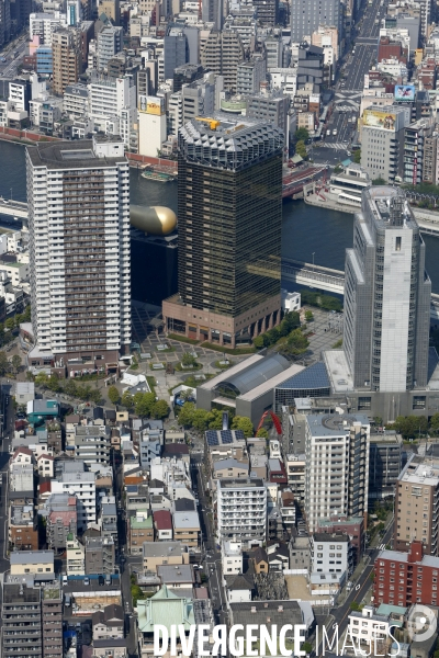 Vue Generale de TOKYO depuis la tour SKYTREE