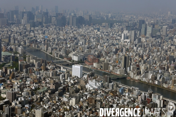 Vue Generale de TOKYO depuis la tour SKYTREE