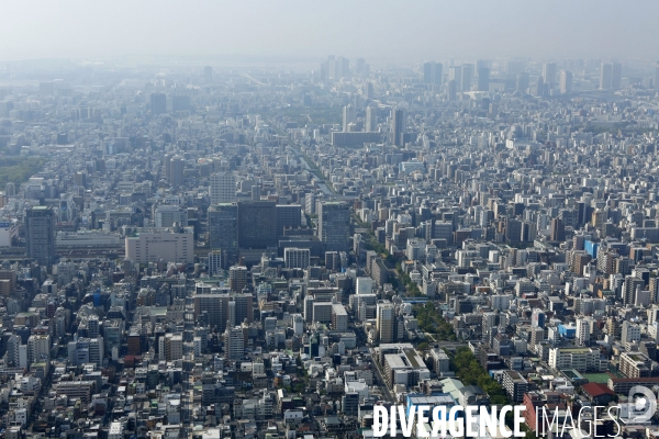 Vue Generale de TOKYO depuis la tour SKYTREE