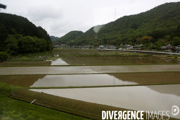 Kinosaki onsen