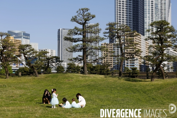 Jardin de hama rikyu