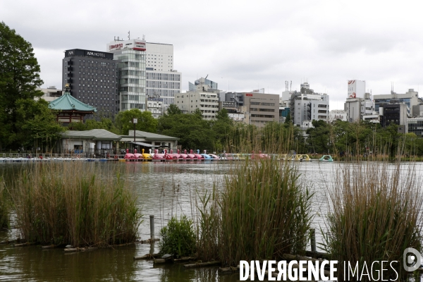 Quartier de UENO