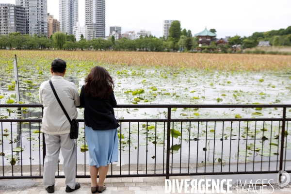 Quartier de UENO