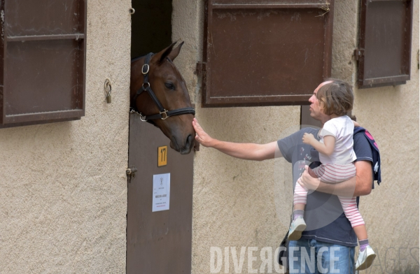 Salon du  Cheval Roi  à Grenade Animations, ambiances du salon dédié aux chevaux, aux anes