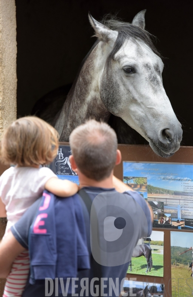 Salon du  Cheval Roi  à Grenade Animations, ambiances du salon dédié aux chevaux, aux anes