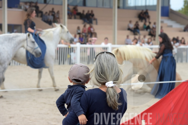 Salon du  Cheval Roi  à Grenade Animations, ambiances du salon dédié aux chevaux, aux anes