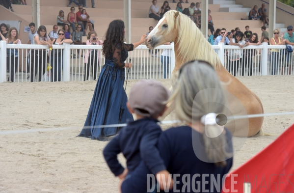 Salon du  Cheval Roi  à Grenade Animations, ambiances du salon dédié aux chevaux, aux anes